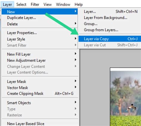1. Layer via Copy/Cut