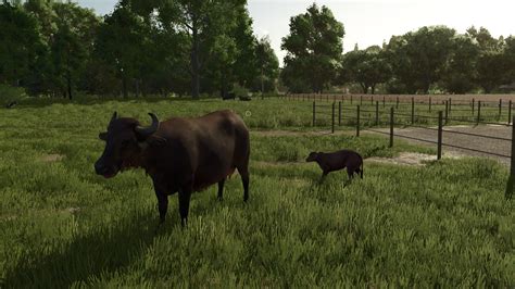 All Farming Simulator 25 livestock listed: