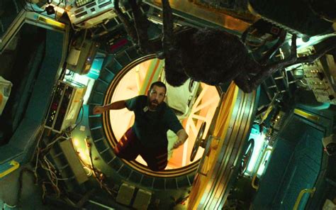 An Unlikely Companionship in Space