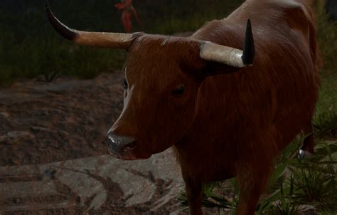 Baldur&rsquo;s Gate 3 Strange Ox