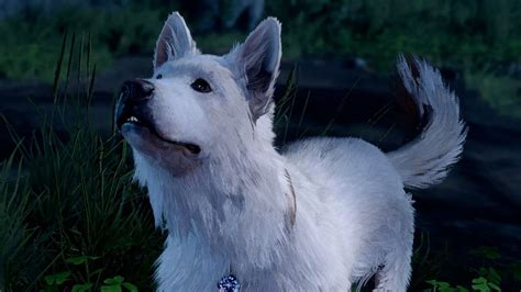 Baldur’s Gate 3 fans cannot get enough of IRL Scratch