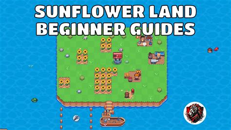 Beginner guides