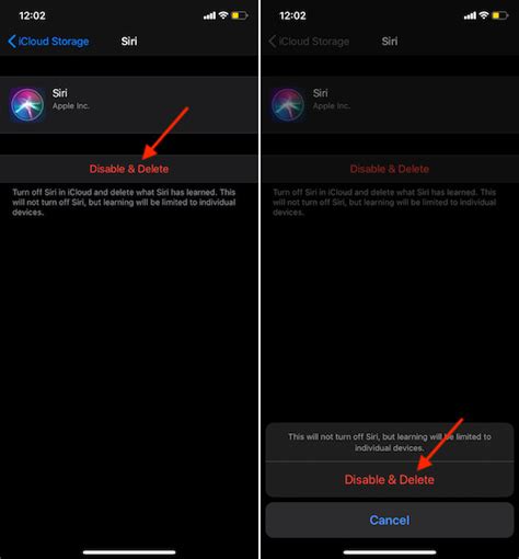 Disable Siri in iCloud and Delete What Siri has Learnt