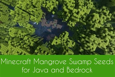 Explore Top Mangrove Swamp Seeds in Minecraft Java and Bedrock
