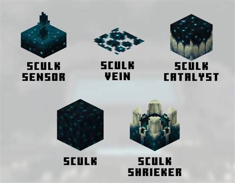 Explore the Different Sculk Blocks in Minecraft