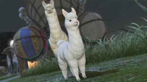 FFXIV Dawntrail: How to get the Alpaca Cria minion