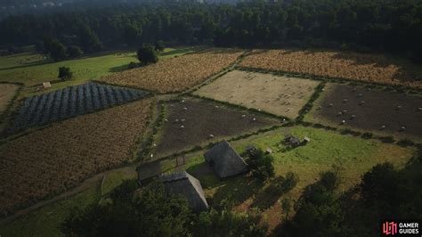 Farming explained in Manor Lords