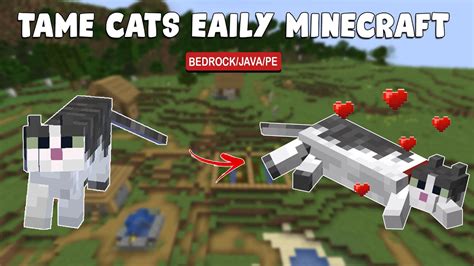 Find and Tame a Cat in Minecraft Today