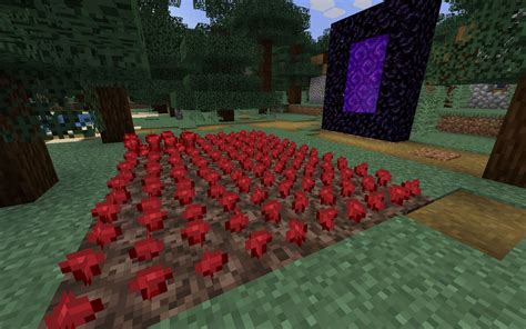 Get and Plant Nether Wart in Minecraft