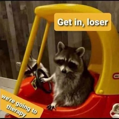 Get in loser