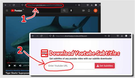 How to Download Subtitles for Videos
