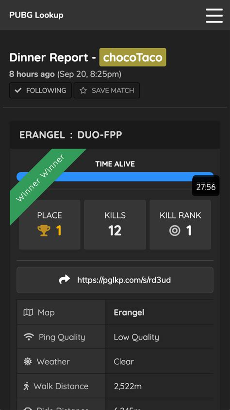 How to Use PUBG Lookup