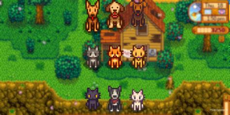 How to adopt multiple pets in Stardew Valley