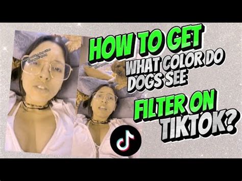 How to do the Dog Vision filter on TikTok
