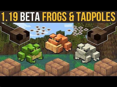How to find Frogs in Minecraft 1.19