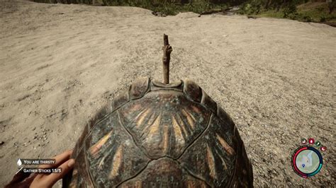 How to find a turtle shell in Sons of the Forest