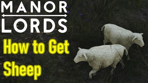 How to get Sheep and a Sheep Farm in Manor Lords