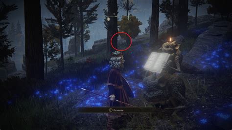 How to unlock Testu&rsquo;s Rise in Elden Ring