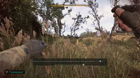 How to use a bolt to escape the anomalous field in Stalker 2