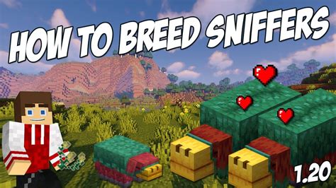 Items Required to Breed Sniffers in Minecraft