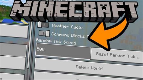 Learn Minecraft Random Tick Speed Commands