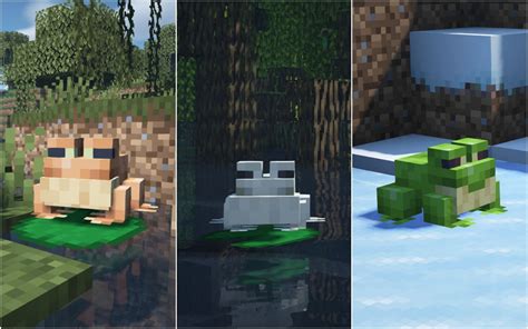 Locations to Find Frogs in Minecraft