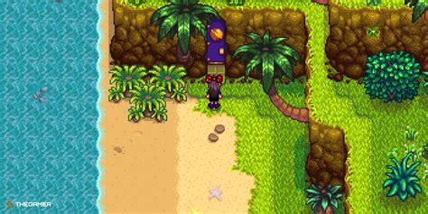 Method 1: Purchase from Qi’s Walnut Room on Ginger Island