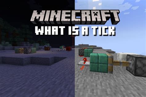 Minecraft Tick Types and Mechanics Detailed