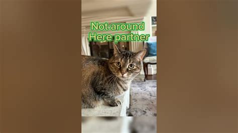 Not from around here