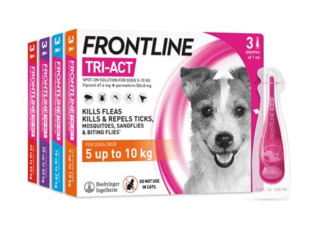 On the frontline