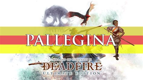 Pillars Of Eternity 2 Deadfire Companion Build Guide: Pallegina (Turn-Based & RTWP)