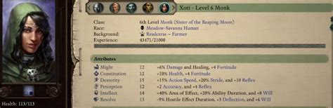 Pillars Of Eternity 2 Deadfire Companion Build Guide: Xoti (Turn-Based & RTWP)