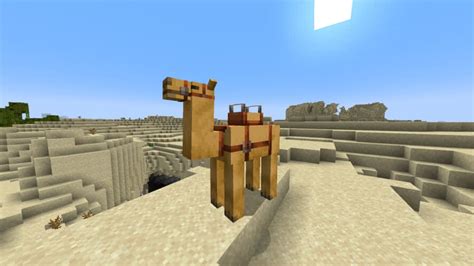 Saddle Up and Ride a Camel in Minecraft