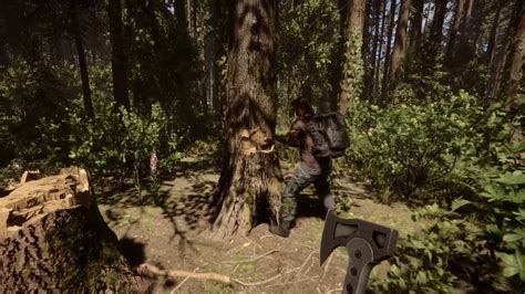 Sons of the Forest: system requirements and PC performance
