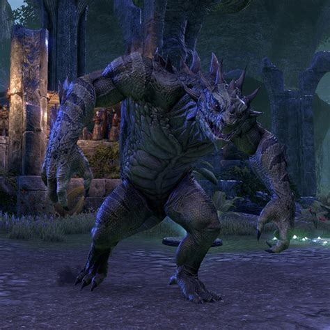 The Elder Scrolls Online: Witnessing a Metamorphosis