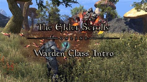 The Elder Scrolls Online Introduces the New Warden Class