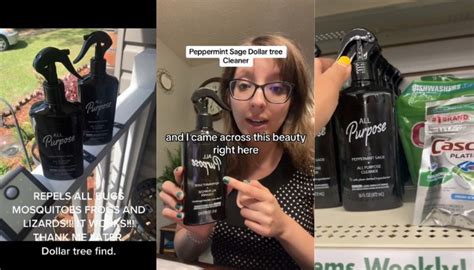 TikTokers in disbelief with how clean Dollar Tree was