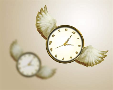 Time Flies