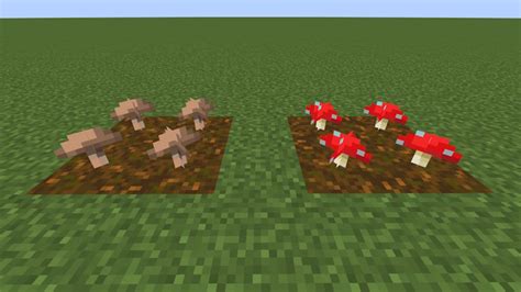Types of Mushrooms in Minecraft