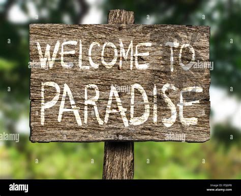 Welcome to Paradise