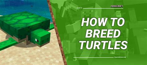 What You Need to Breed Turtles in Minecraft
