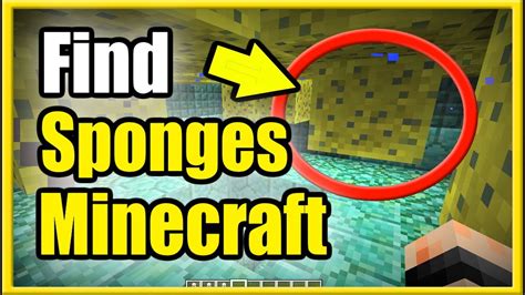 Where to Find Sponges in Minecraft