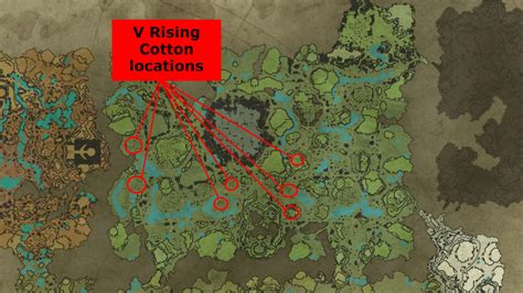 Where to find Cotton in V Rising