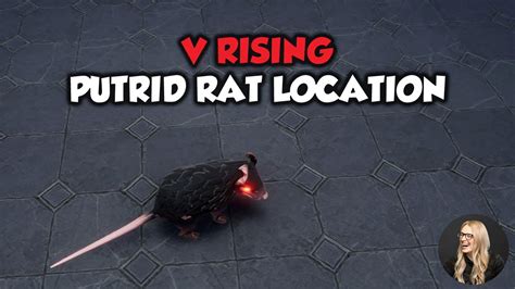 Where to find the Putrid Rat in V Rising